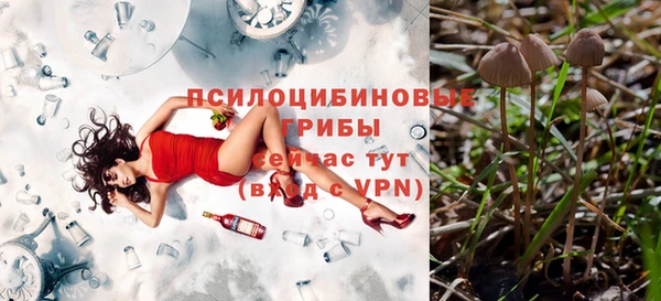 каннабис Алексеевка