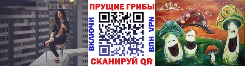 как найти закладки  Стародуб  Галлюциногенные грибы Magic Shrooms 